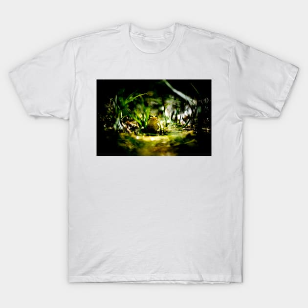 Frogger - High Contrast T-Shirt by arc1